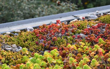 the cost of Blackfen green roof installation