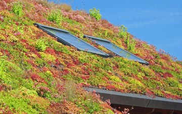 Blackfen living roof systems