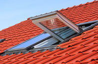 Blackfen roof window